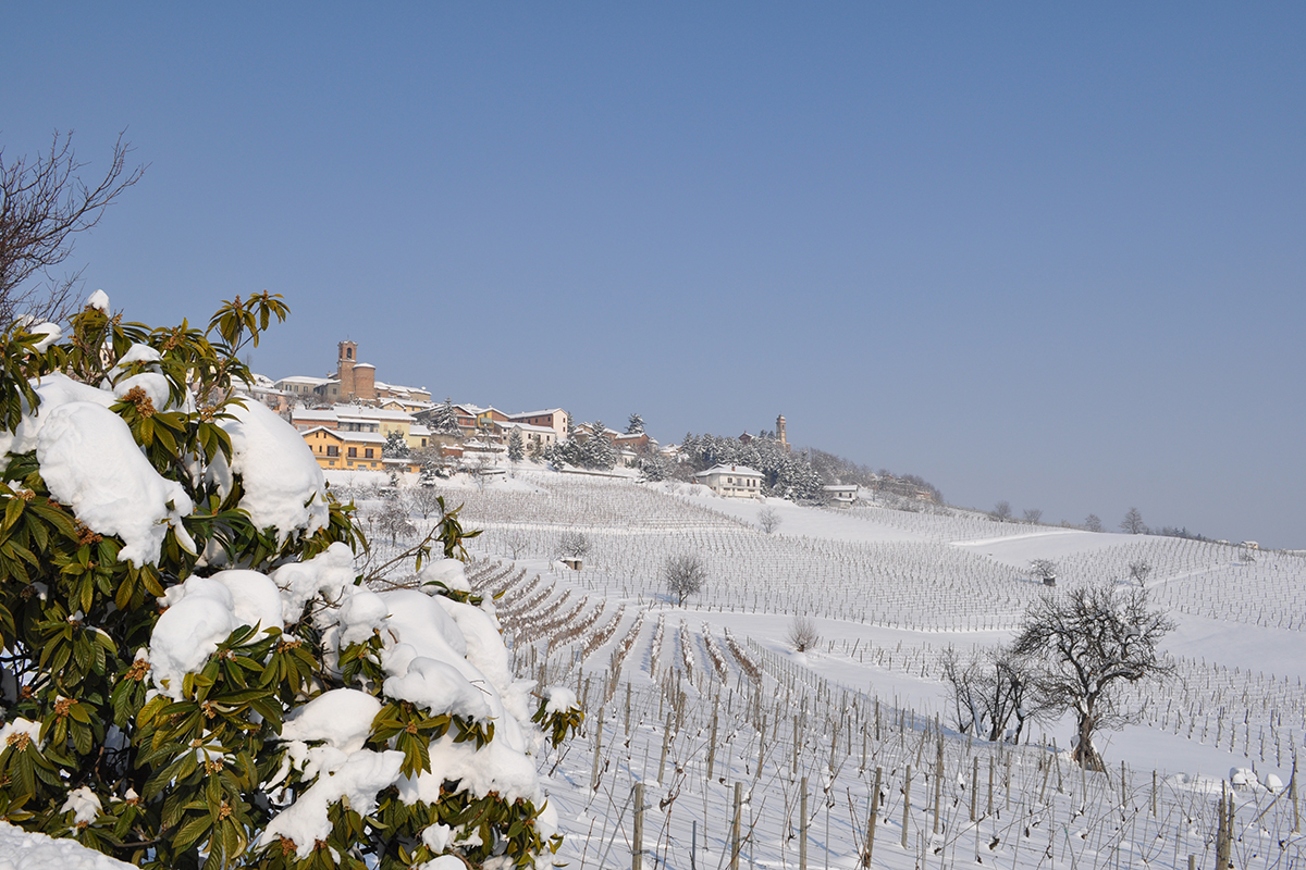 Viñedos y Bodega nevados