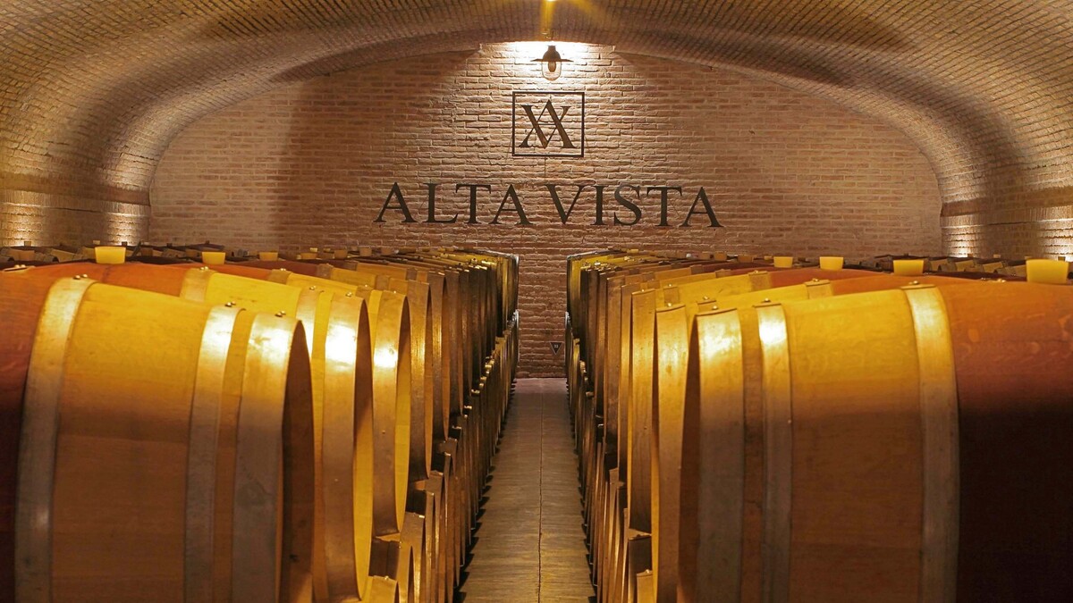 Alta Vista