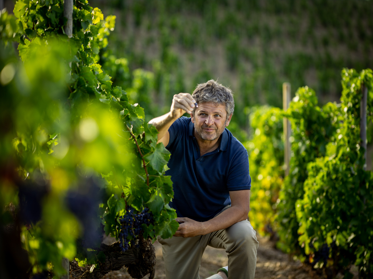 Bodega Álvaro Palacios