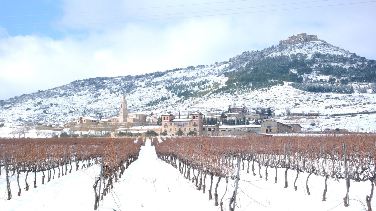 Castillo de Monjardín en invierno