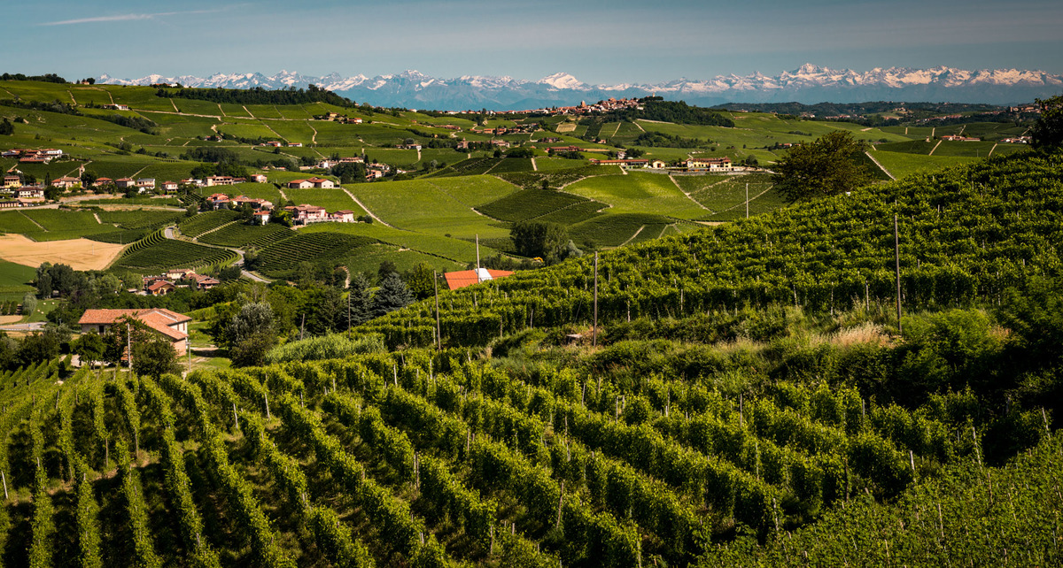 Mascarello Monprivato