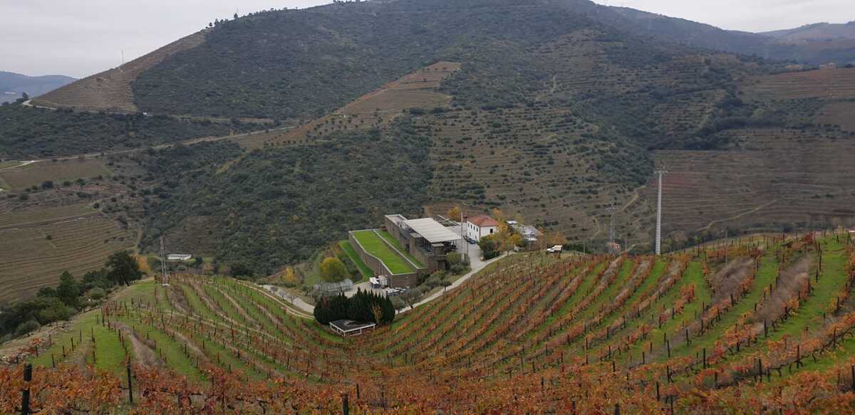 Bodegas Niepoort