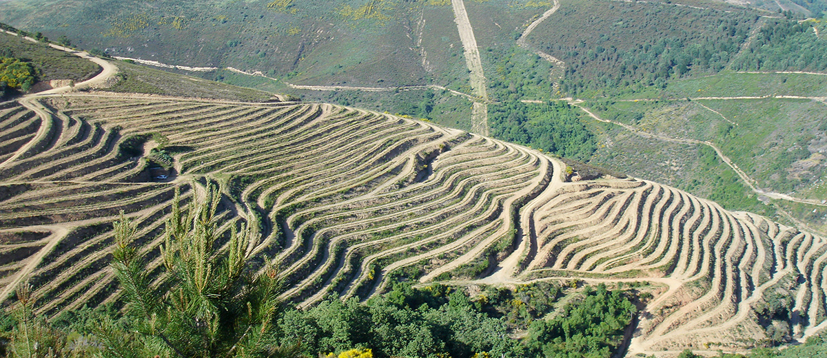 Quinta da Muradella Monterrei